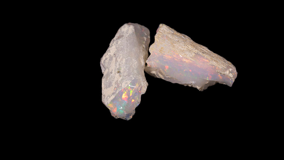 9.2 gram Fossil Rough Limb Cast