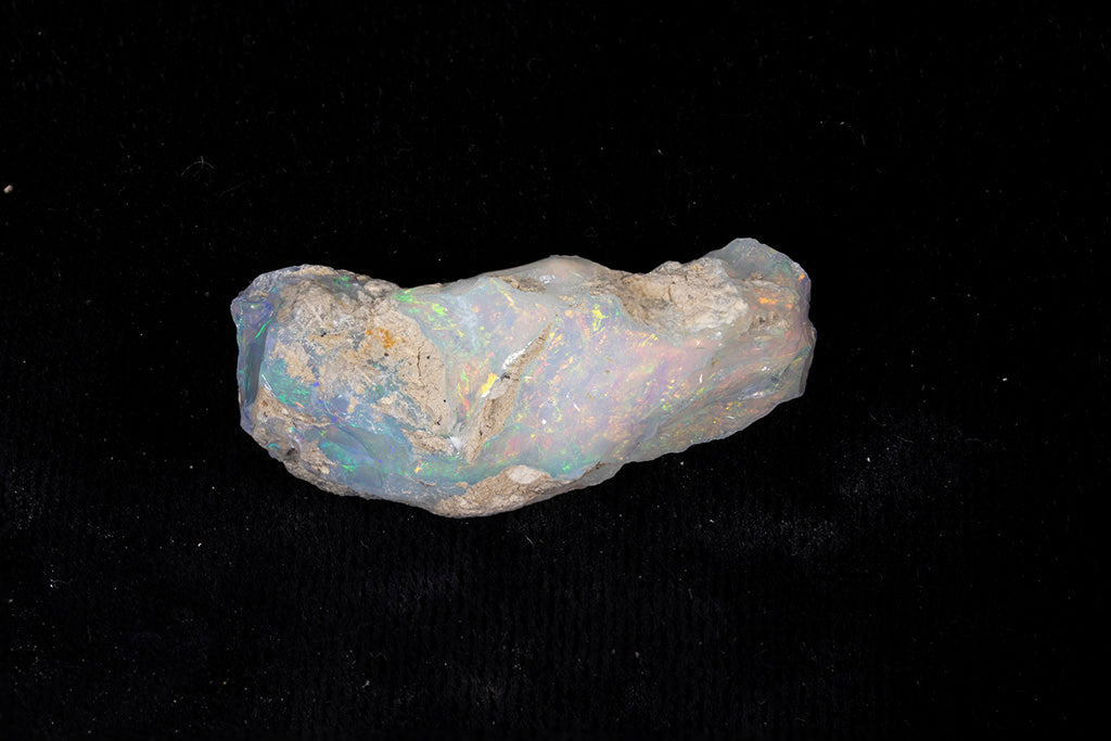 10.6 gram Fossil Rough