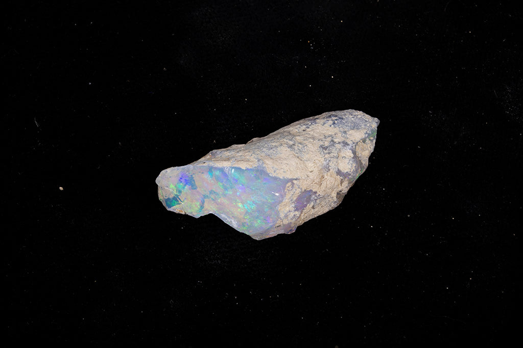 5.0 gram Fossil Rough