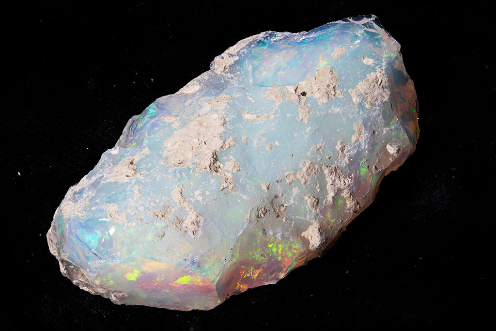 18.1 gram Fossil Rough
