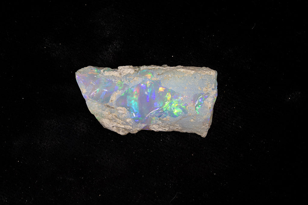 8.6 gram Fossil Rough