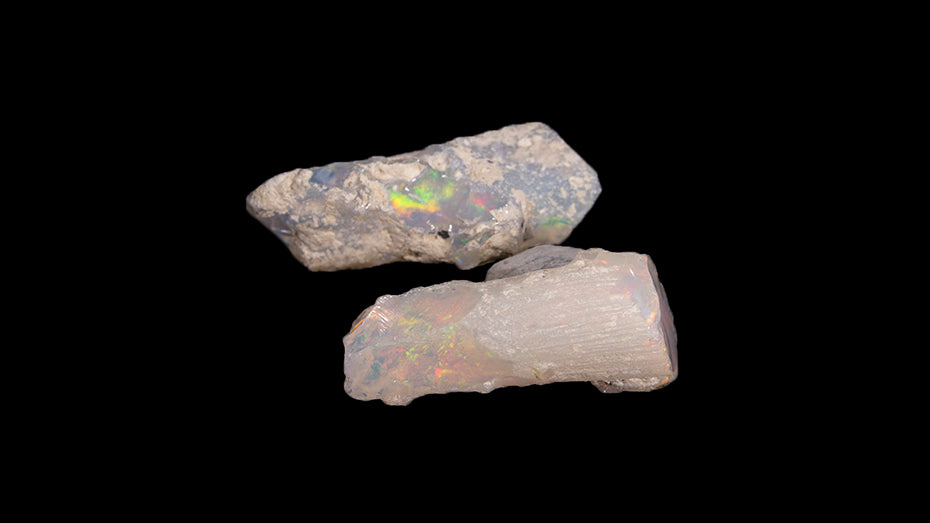 7.2 gram Fossil  Rough Limb Cast