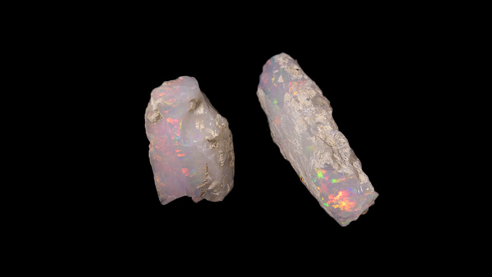 9.2 gram Fossil Rough Limb Cast