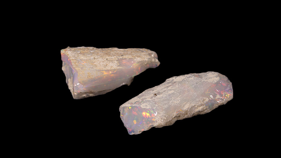 9.2 gram Fossil Rough Limb Cast