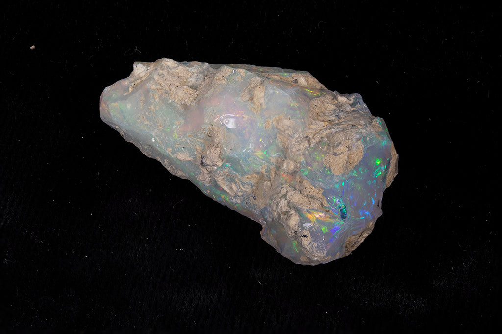 10.6 gram Fossil Rough