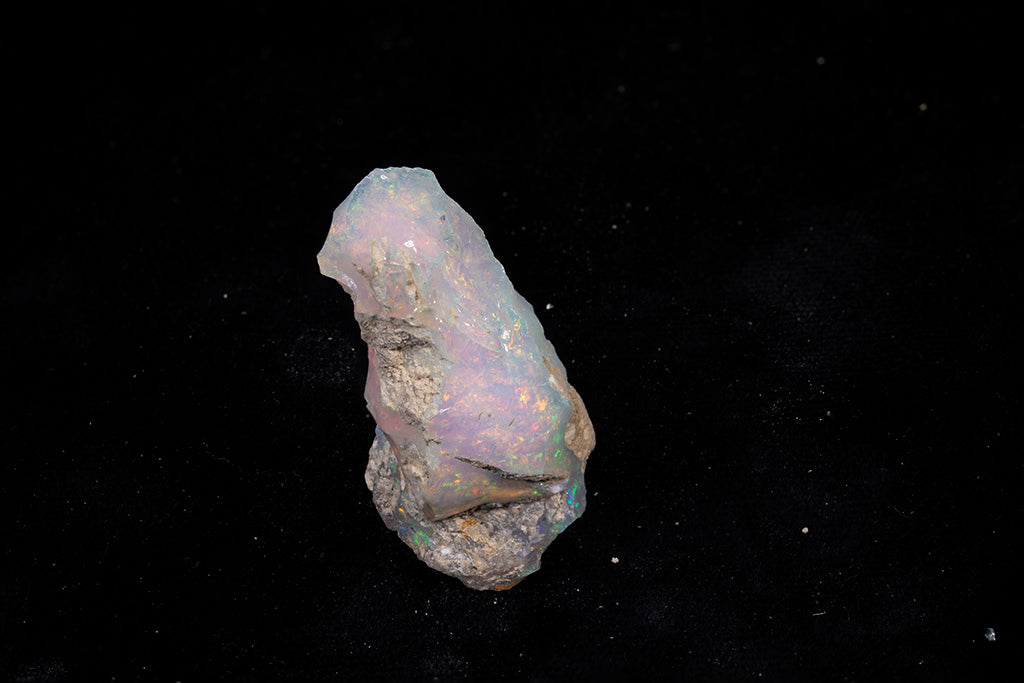 10.6 gram Fossil Rough