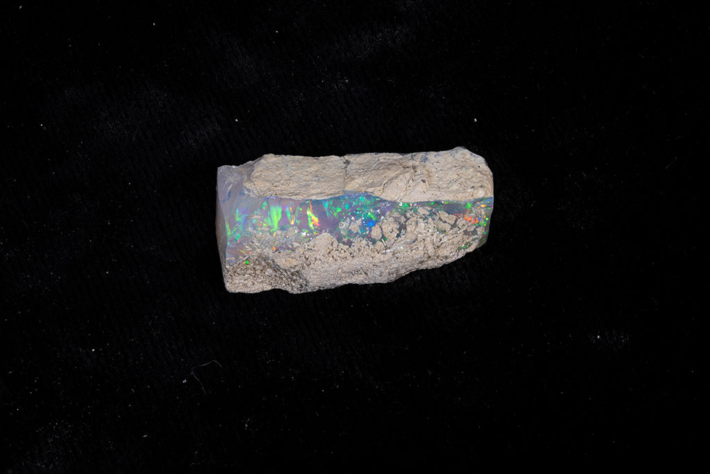 5.0 gram Fossil Rough