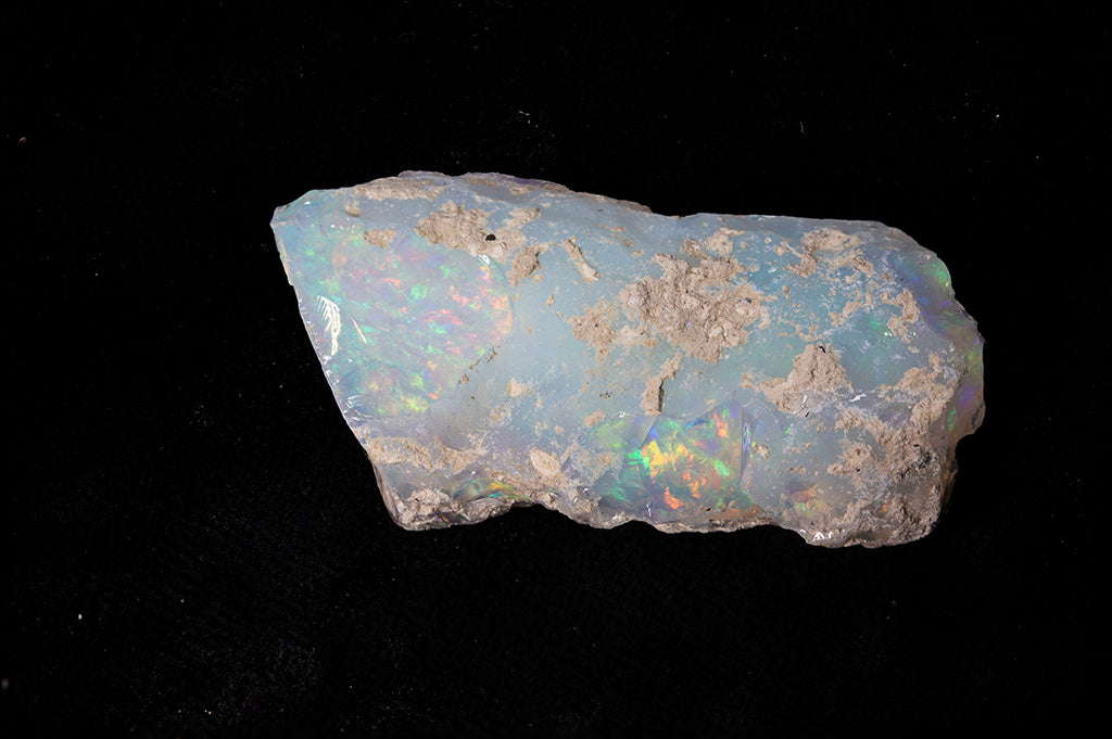 18.1 gram Fossil Rough