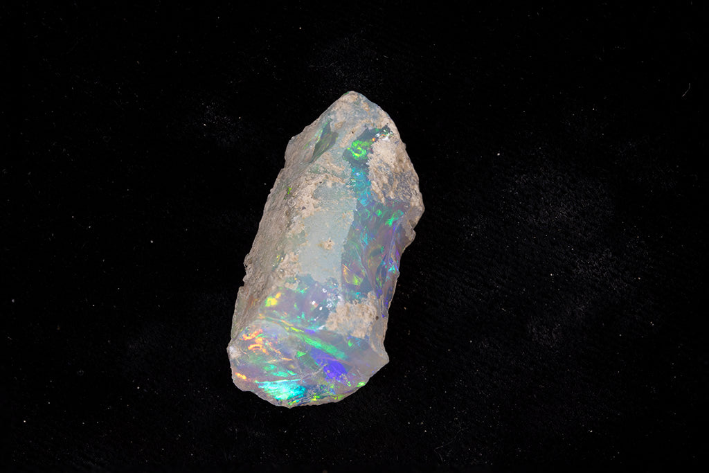 8.6 gram Fossil Rough