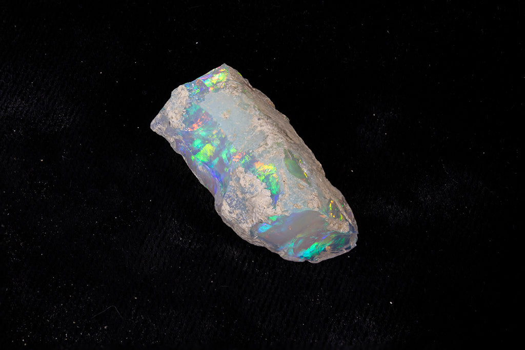 8.6 gram Fossil Rough