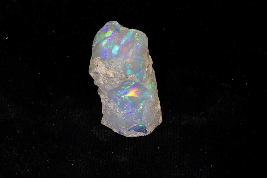 8.6 gram Fossil Rough